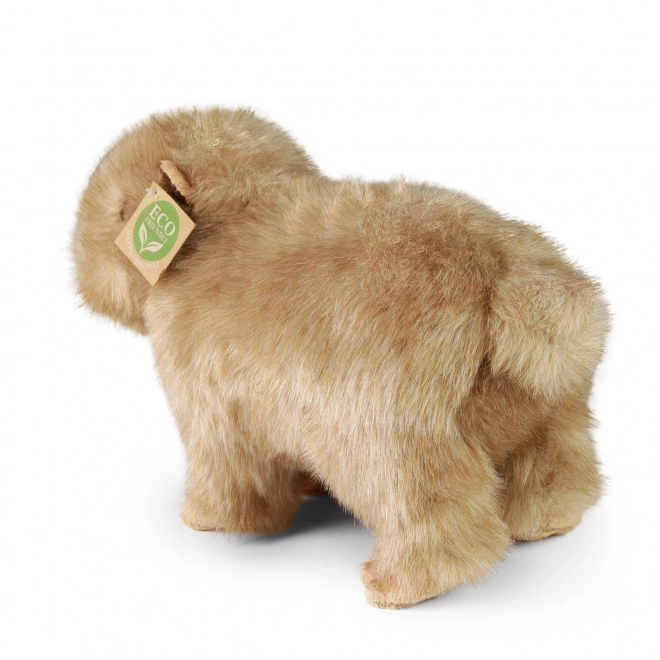 Kapybara Peluche 30 cm Eco-Friendly