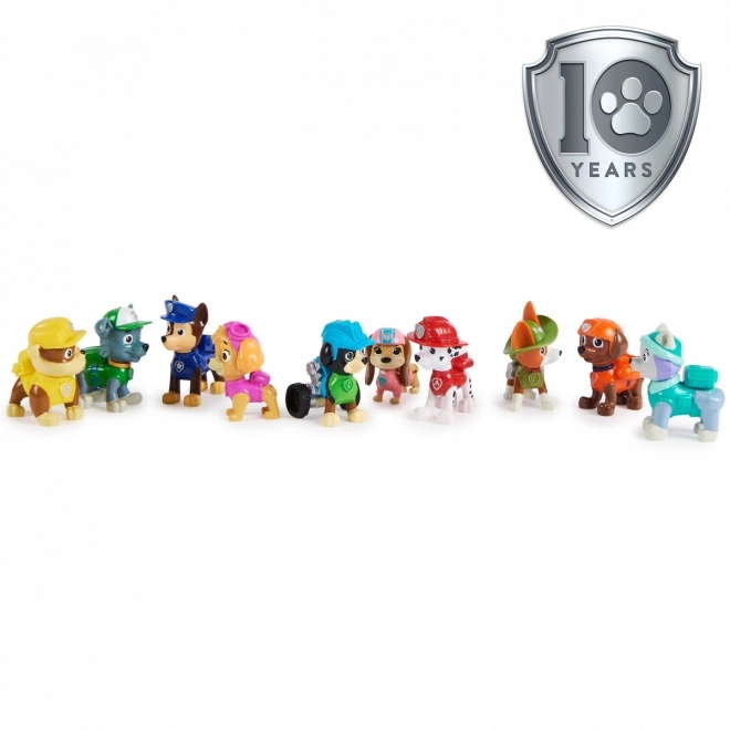 Collezione per il 10° anniversario