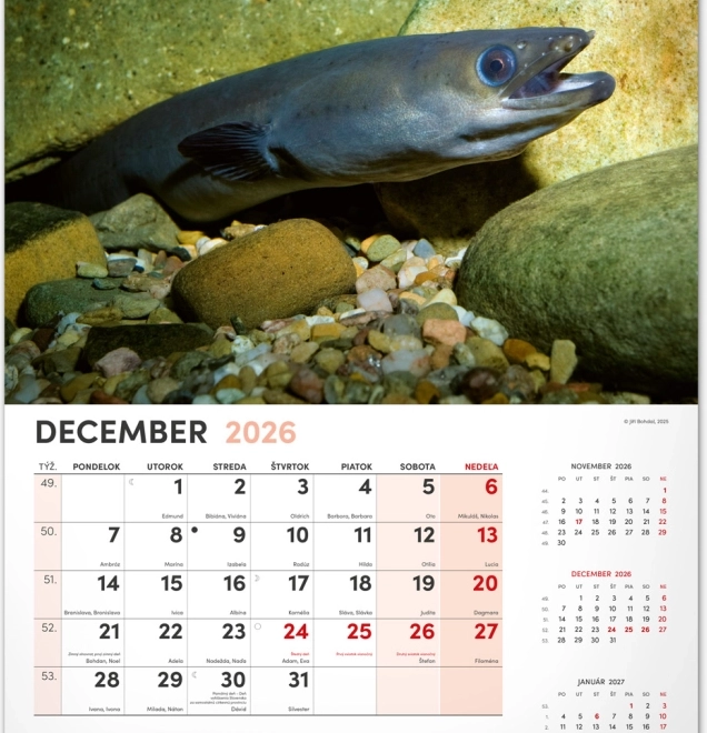 Calendario da parete di pesca 2026