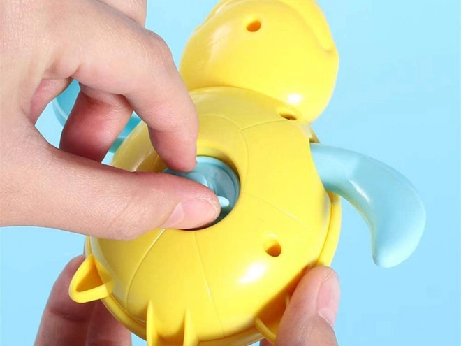 Tartaruga da bagno a carica