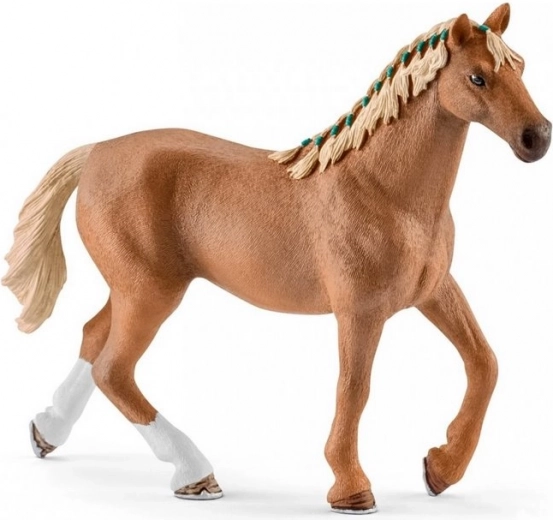 Ricchi accessori