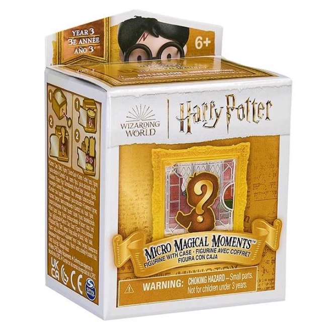 Figura Harry Potter in Cornice