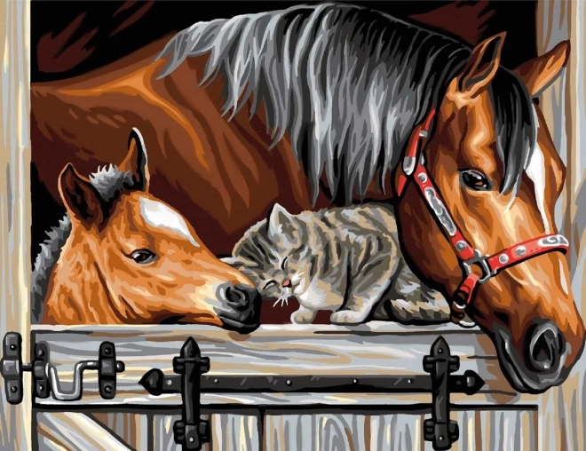 Diamant painting cavallo e gatto 30x40 cm