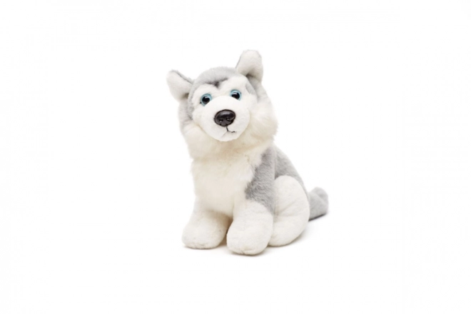 Husky di peluche 15 cm