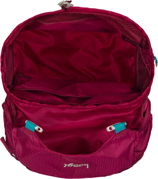 Zaino Tracker Roj per bambini di Baagl