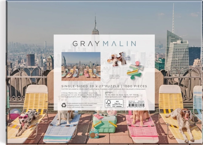 Puzzle di New York 1000 pezzi di Gray Malin