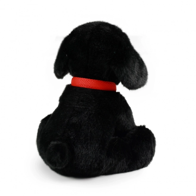 Labrador di peluche ecologico nero con guinzaglio 28 cm