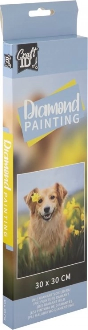 Pittura Diamante: Cane tra i Narcisi 30x30cm