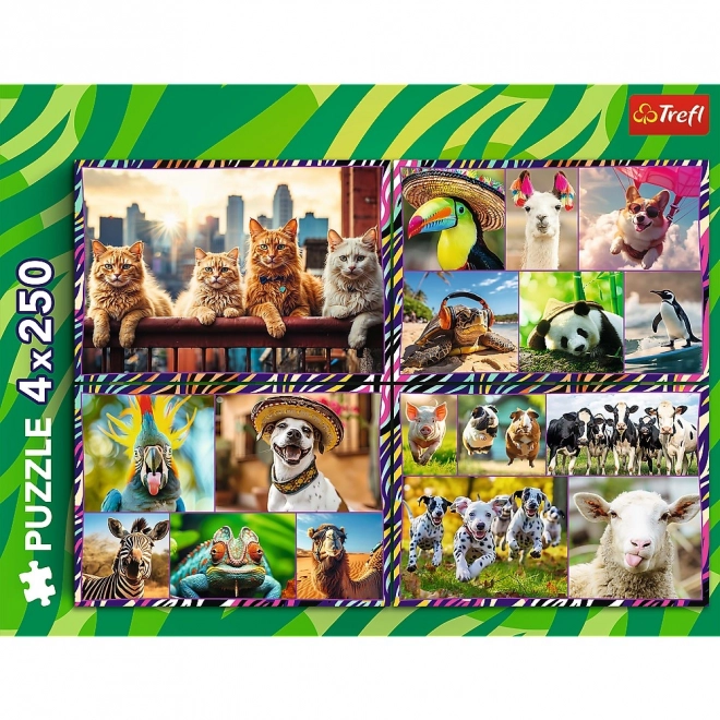 Puzzle Divertenti Animali 4x250 Pezzi