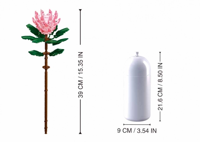 Fiori Sluban Protea in vaso