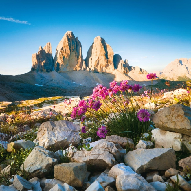 Calendario con appunti Alpi 2026