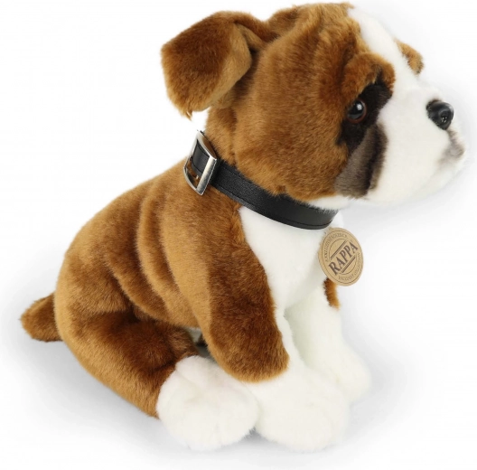 Design realistico che amerai