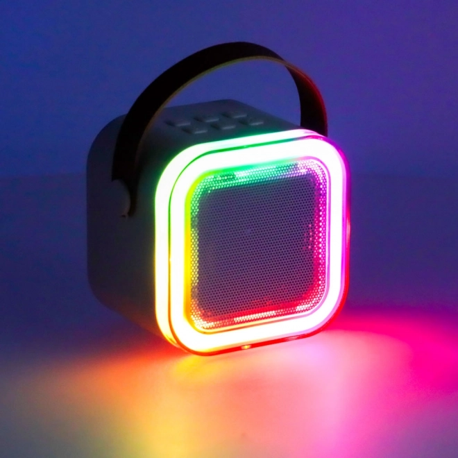 Set Karaoke con Microfono e Altoparlante Portatile Bluetooth USB LED Rosa