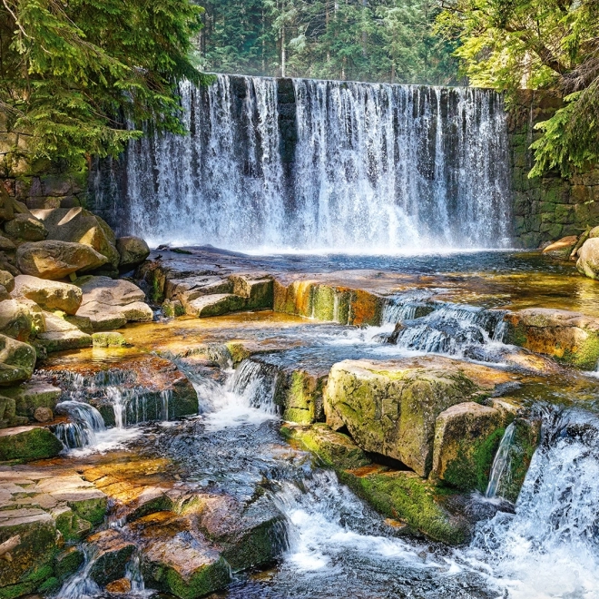 Puzzle Cascata Nella Foresta 2000 Pezzi