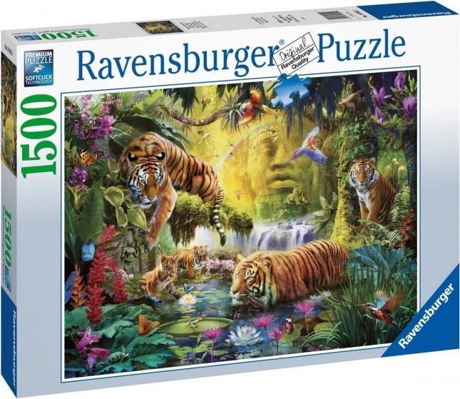 Puzzle 1500 pezzi Tigri tranquille RAVENSBURGER