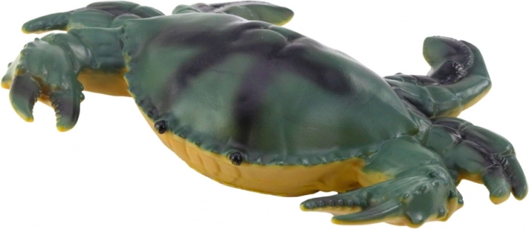 Colori realistici e diverse specie marine