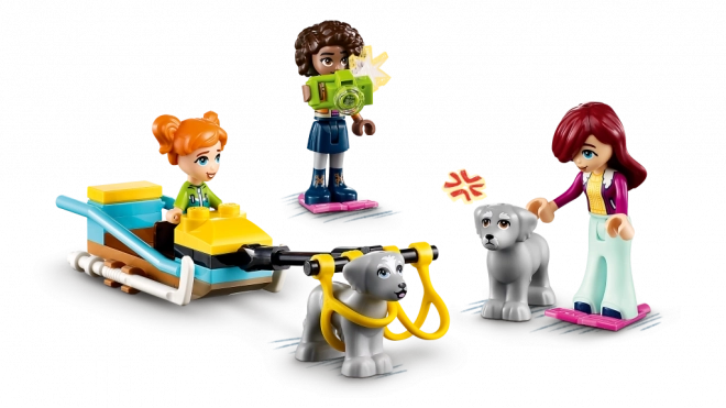 Avventura nell'igloo Lego Friends