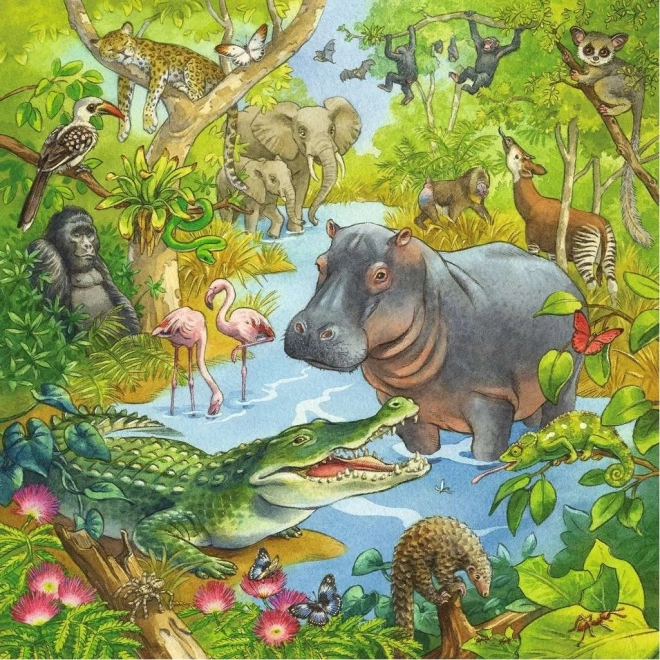 Puzzle Animali della Giungla 3x49 Pezzi