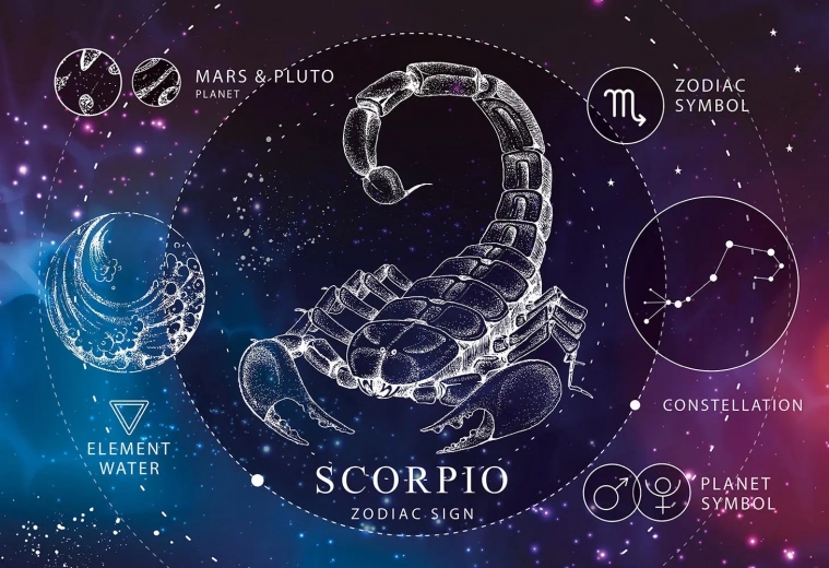 Puzzle Zodiaco Scorpione 250 Pezzi