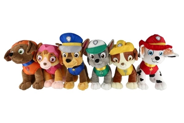 Figura della Paw Patrol Personaggio di peluche 6 tipi