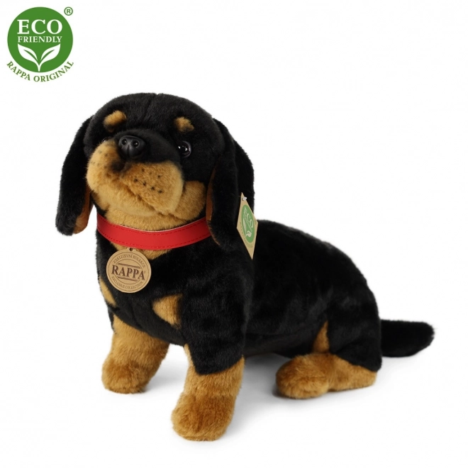 Cane Bassotto in Peluche 30 cm Eco-Friendly