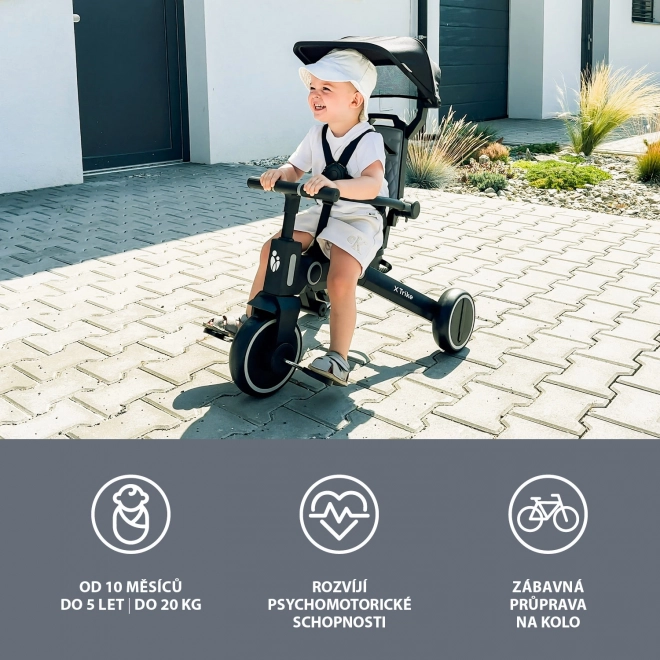 Triciclo multifunzionale 7-in-1 X Trike Lunar Grey