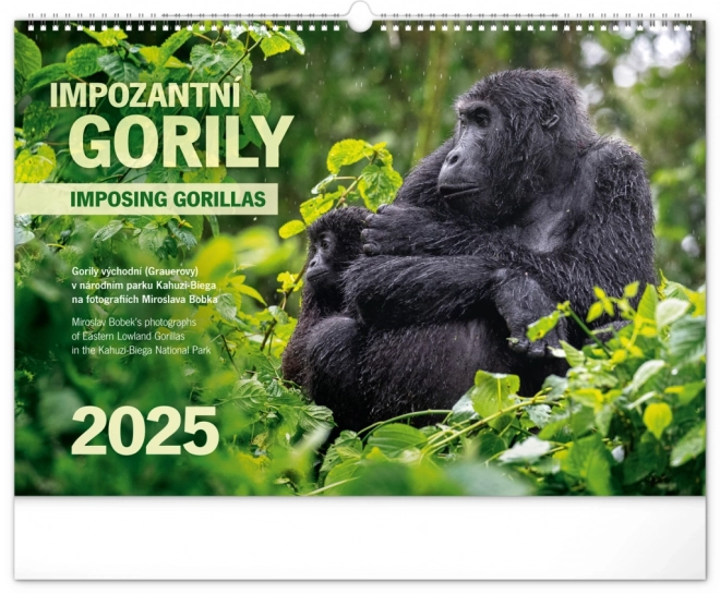 Calendario da parete Gorilla maestosi 2025