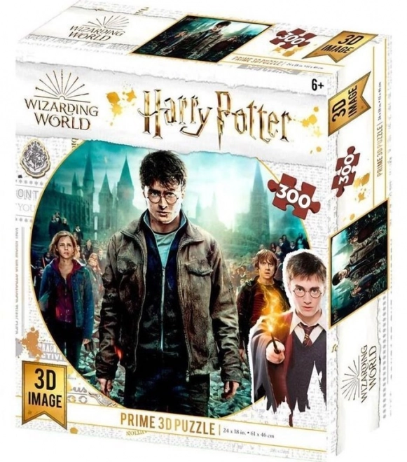 Puzzle 3D Harry Potter con Harry, Hermione e Ron XL