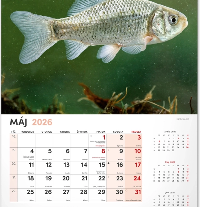 Calendario da parete di pesca 2026