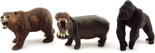 Variegato mix di specie in una pratica scatola