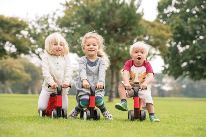 Bicicletta colorata per bambini