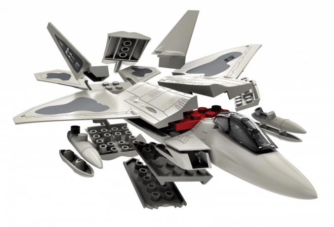 Modello di plastica F-22 Raptor