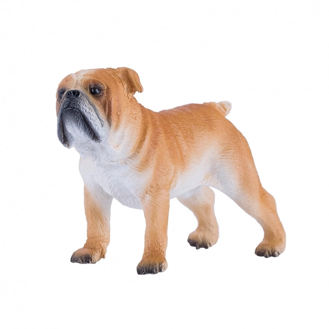 Figura Bulldog Inglese Realistica