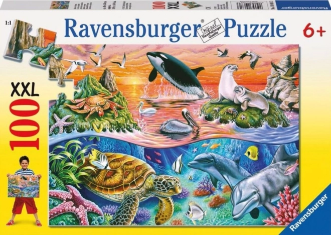 Puzzle Oceano Incantevole XXL 100 Pezzi Ravensburger