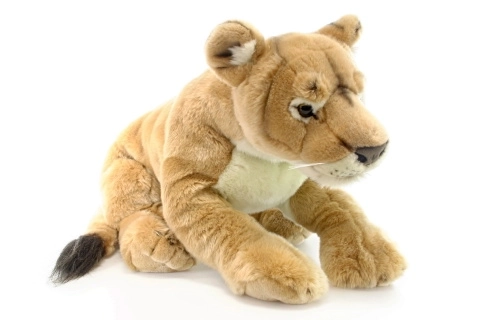 Leone Di Peluche 70 cm