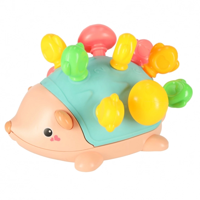 Jeżino educativo montessori con spine colorate