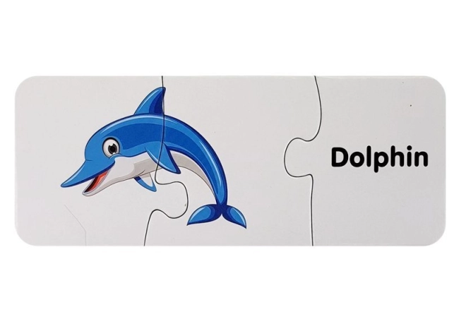 Esplorazione del mondo marino