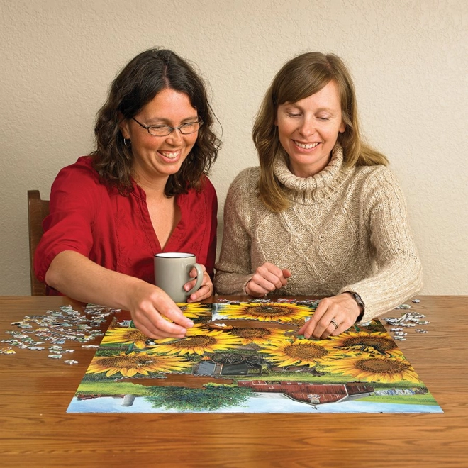 Ottimo per divertimento domestico