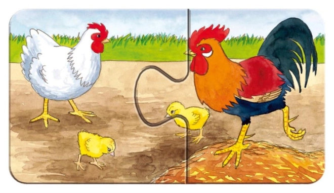 Qualità RAVENSBURGER senza riflessi
