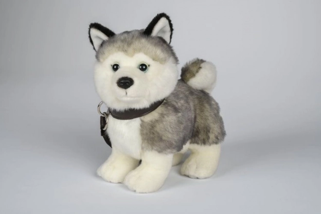 Cane Husky di peluche con guinzaglio