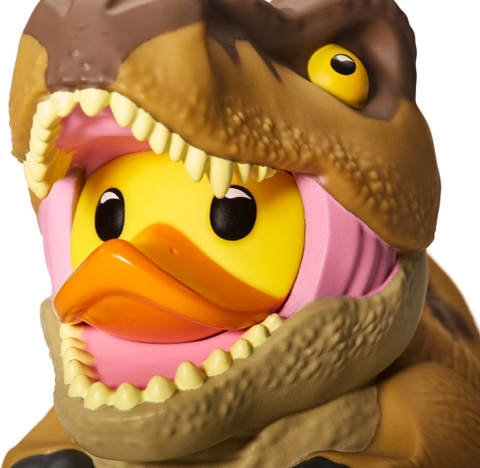 Confezione regalo elegante con finestra