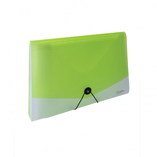 Organizer documenti A4 con elastico Opaline trasparente verde