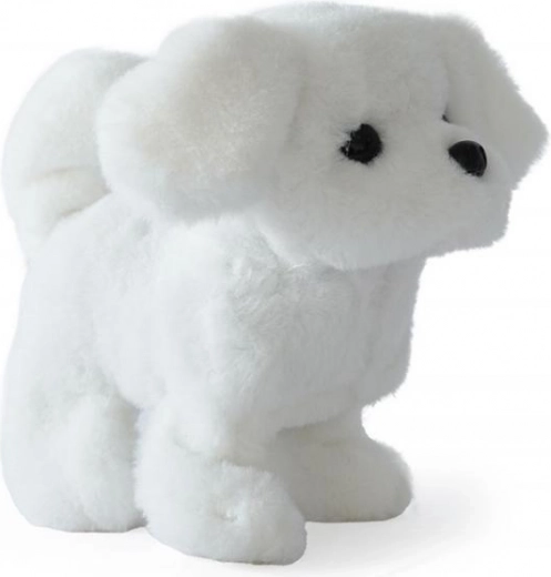 Cammina come un vero animaletto domestico