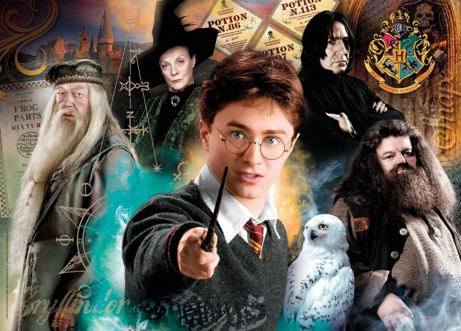 Puzzle 500 pezzi Harry Potter