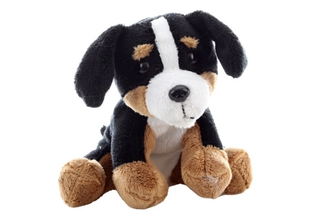 Cane di peluche Bernese