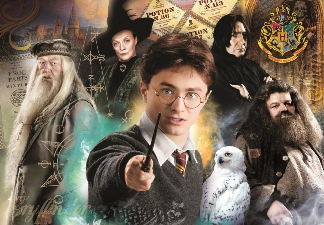 Puzzle 1000 pezzi Compatto Harry Potter