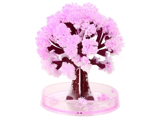 Albero magico Sakura