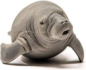 Dimensioni compatte per una manipolazione agevole