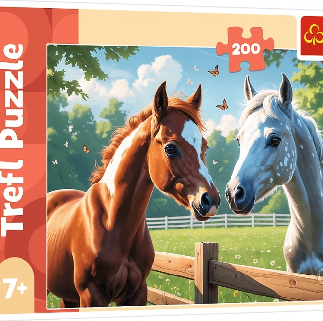 TREFL Puzzle Cavalli nella radura 200 pezzi