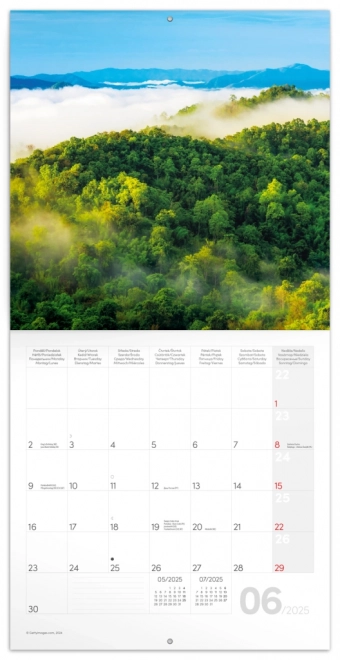 Calendario appunti Foreste Pluviali 2025